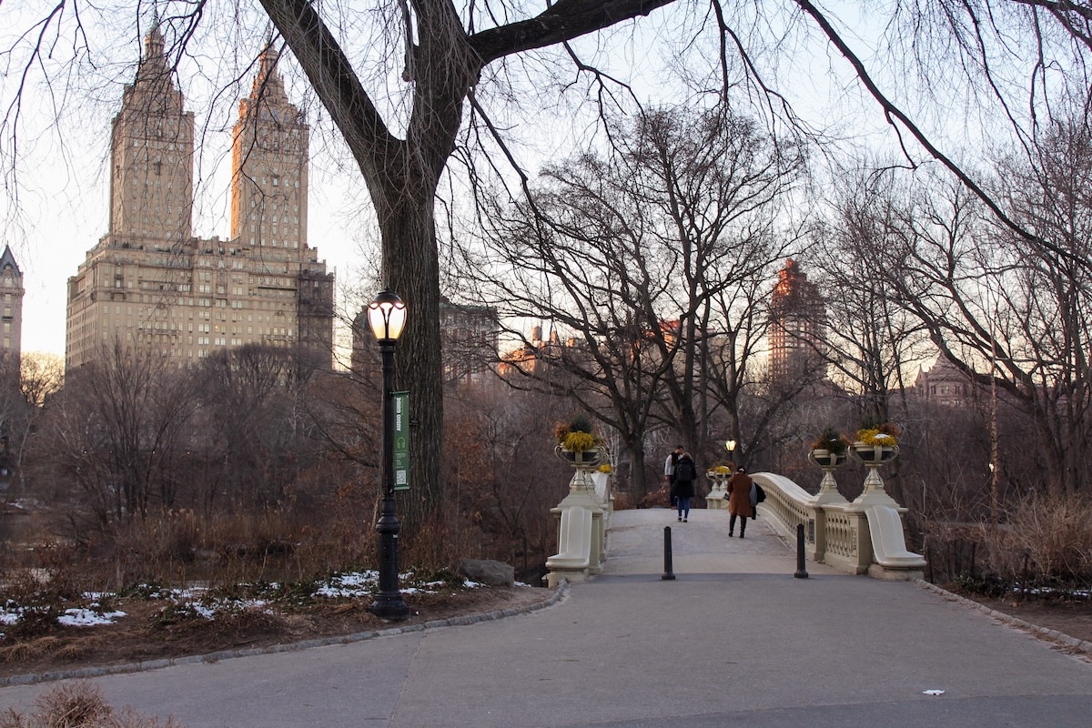 Central Park en hiver