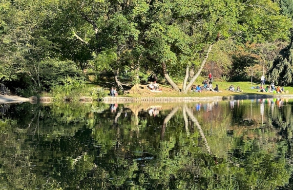 Lac à Prospect Park