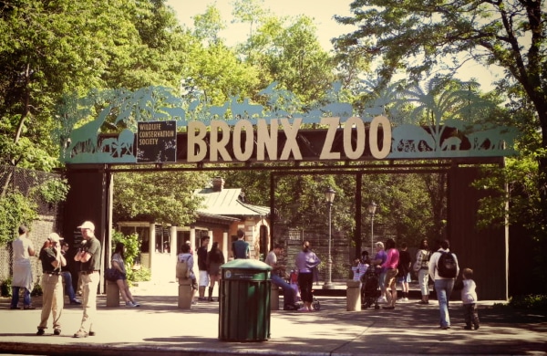 Zoo du Bronx New York