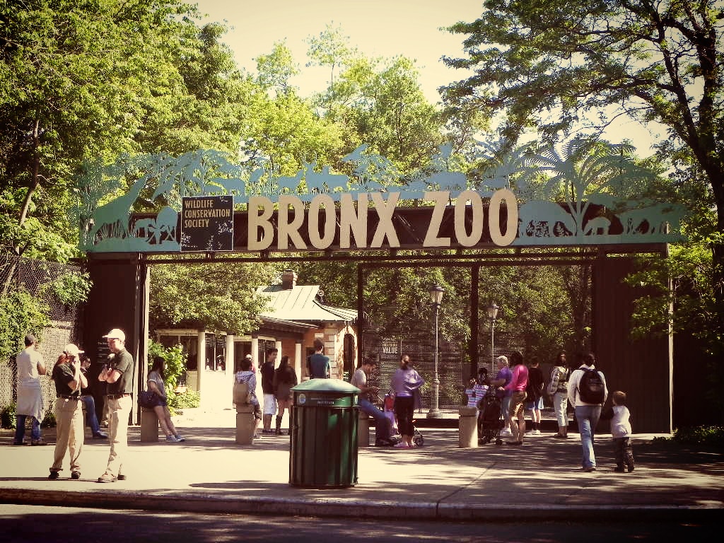 zoo du bronx