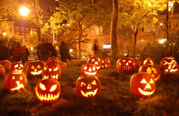 Citrouilles allumés dans parc pendant la fête Halloween NYC