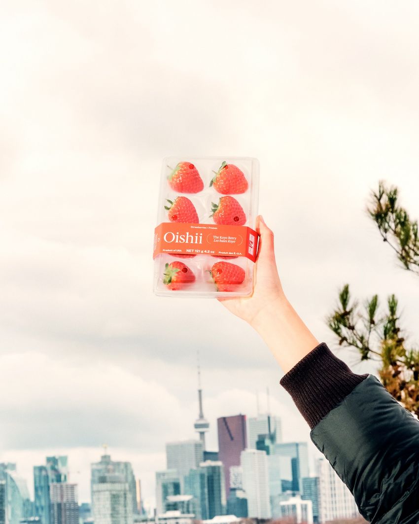 Présentation d'un coffret Oishii fraises