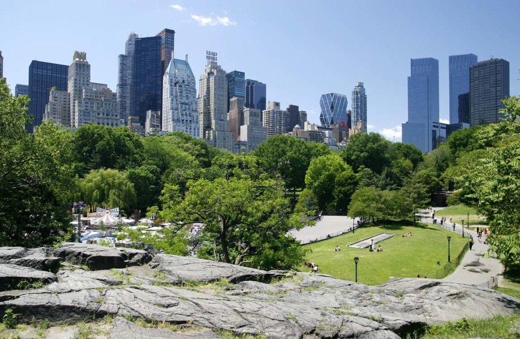 Vue sur Central Park et les buildings en fond