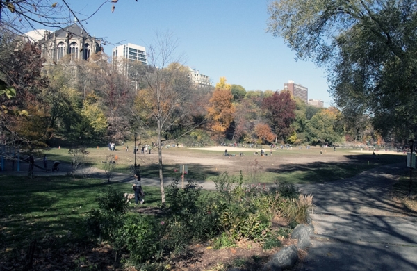 Morningside park est un parc situé entre Colombia University et Harlem