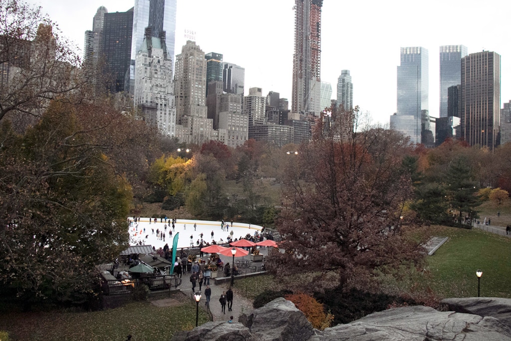 superficie central park