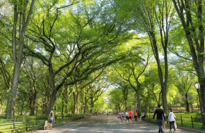 The Mall, allée de Central Park