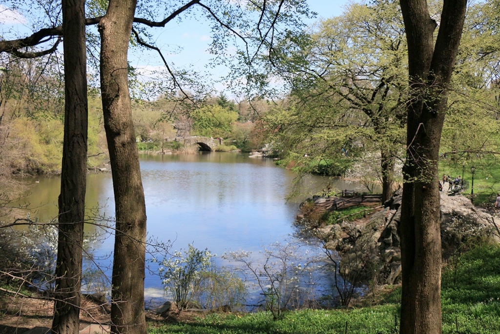 Central Park New York | The Pond