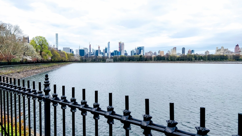 superficie central park